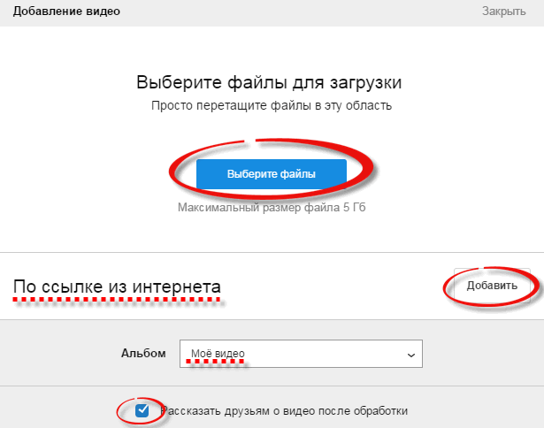 Как отправить большое видео по WhatsApp: три простых способа